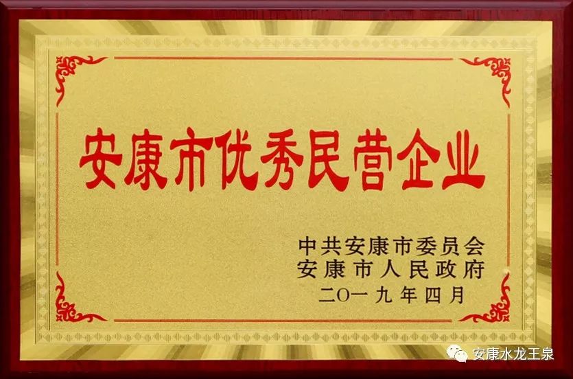 喜訊！安康市青蓮飲料有限公司被授予“安康市優(yōu)秀民營企業(yè)”稱號